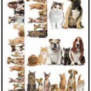 Lamina para decoupage Creativa A4 - Modelo N° 801