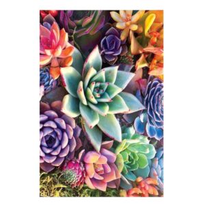 Kit pintura diamante 5d diamond painting 30x40cm 1u mod 71